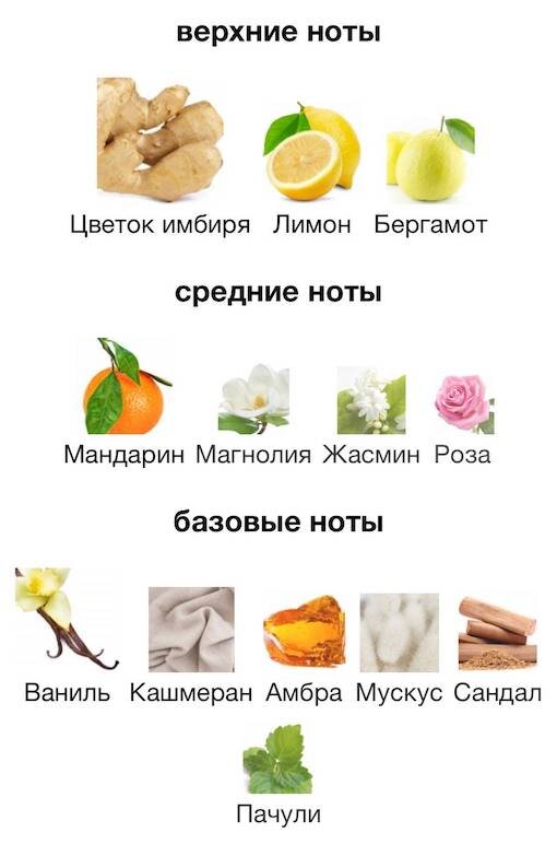Изображение взято с сайта https://www.fragrantica.ru