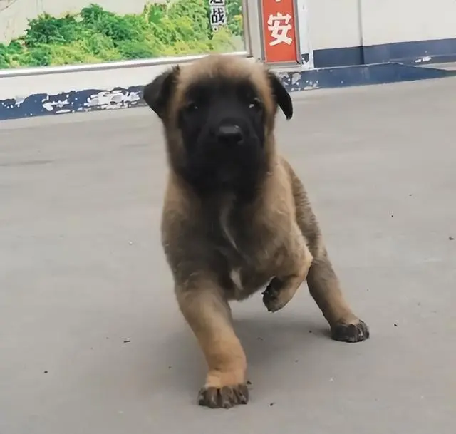 Какой не по-детски сосредоточенный взгляд! Источник: Baidu.com