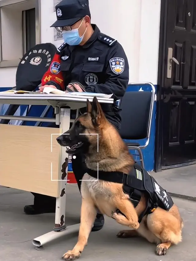 Бадун на службе. Источник: Baidu.com