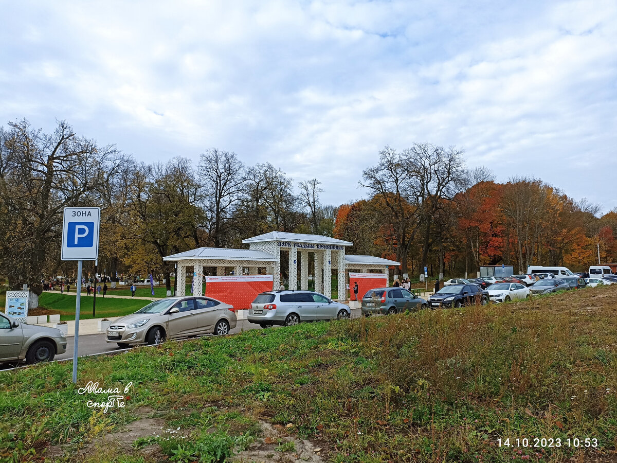 Парк усадьбы Шеншиных в Орловской области | Мама в спорте | Дзен