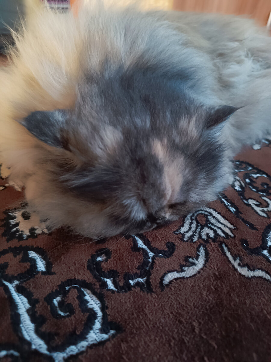 Фото автора 