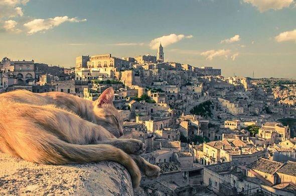 Фотография с просторов интернета 