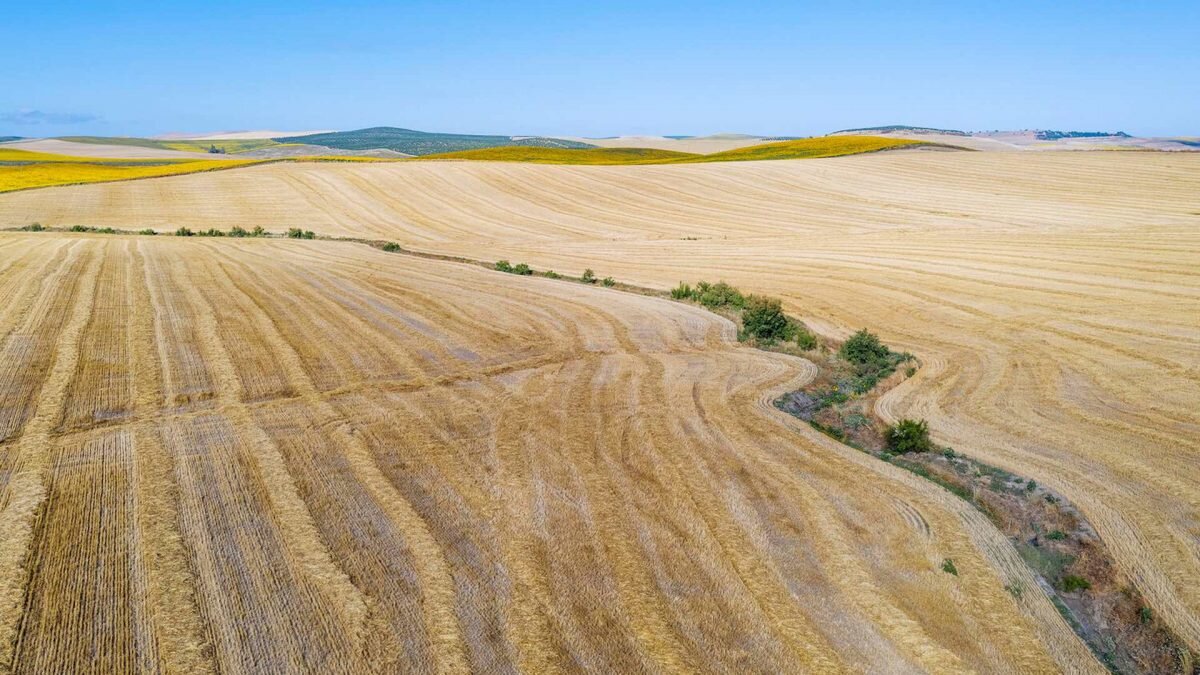    Фото: Thomas Dressler/imageBROKER/Global Look Press Август Макаров