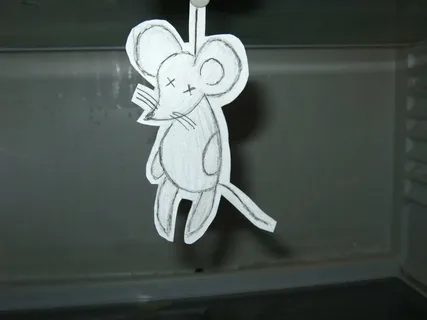 Фото из интернета