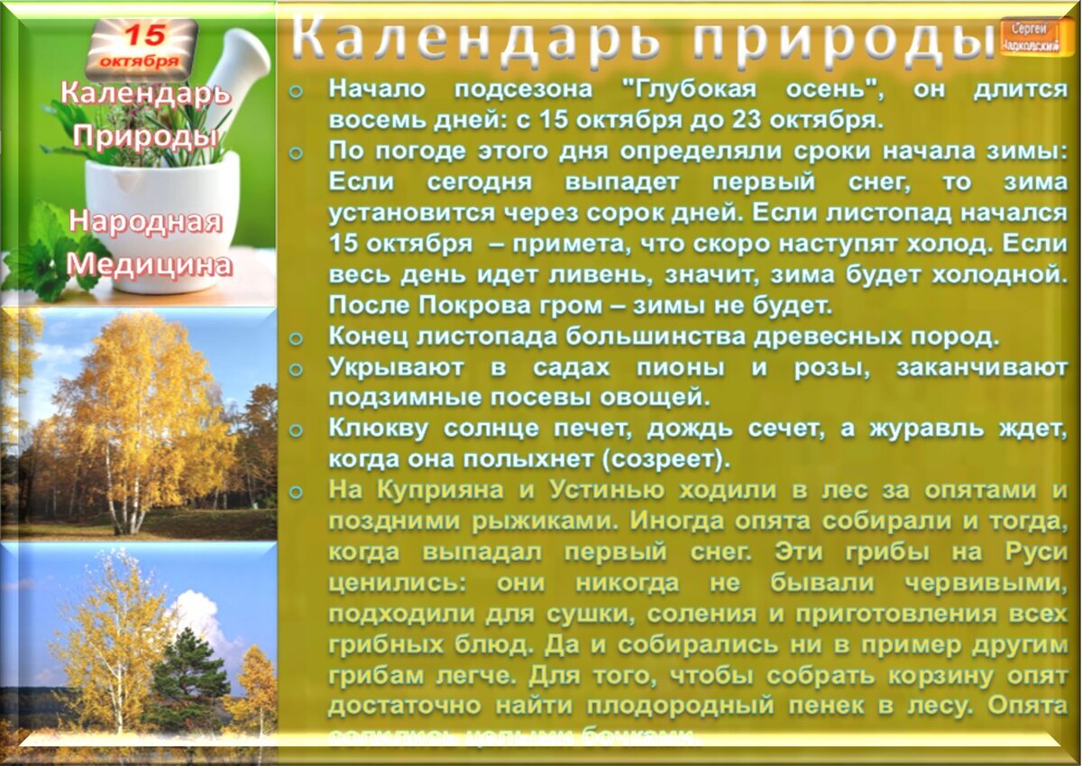 15 октября - Приметы, обычаи и ритуалы, традиции и поверья дня. Все  праздники дня во всех календарях. | Сергей Чарковский Все праздники | Дзен