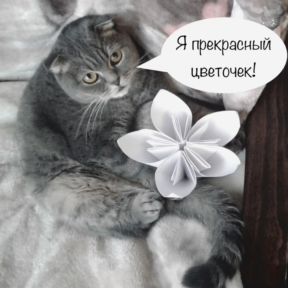 😻 Она умеет очаровывать 😻