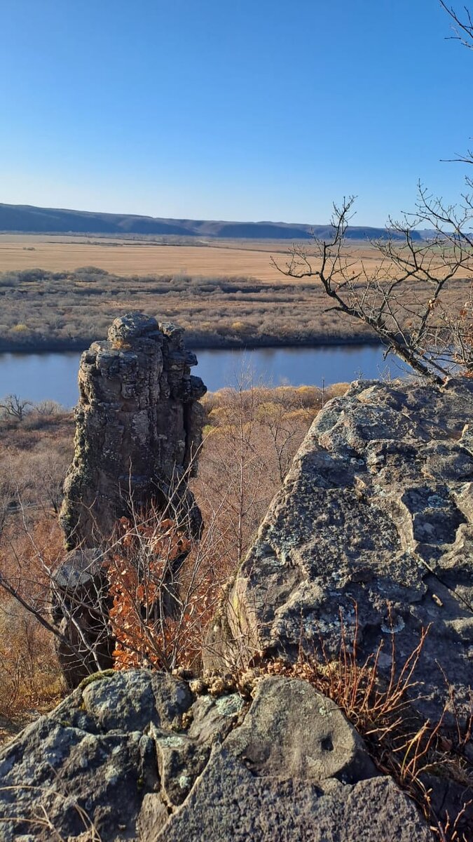 Большой палец. Фото автора.