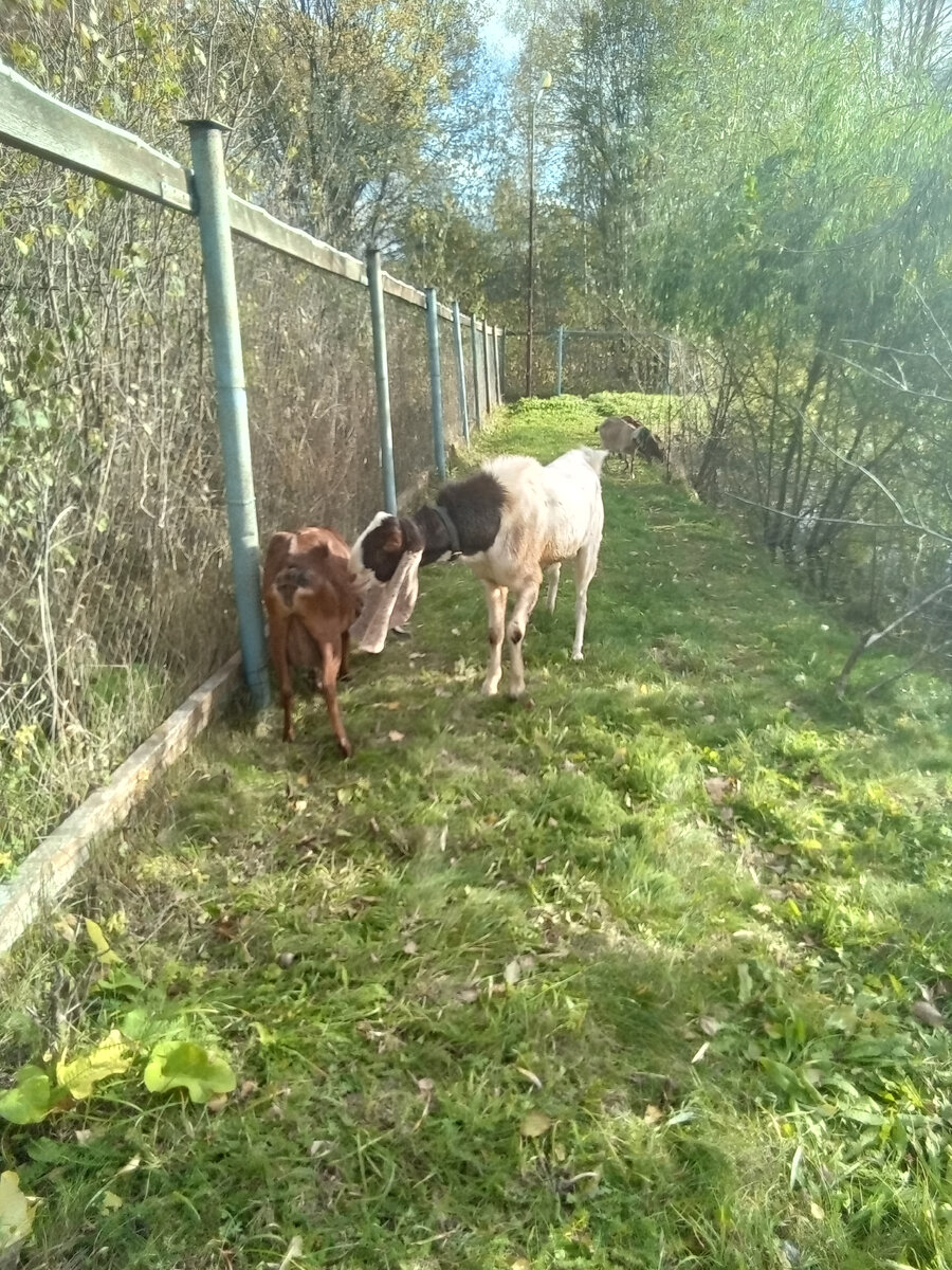 Фото автора. 