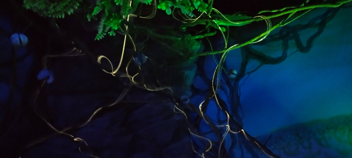 Фото автора канала