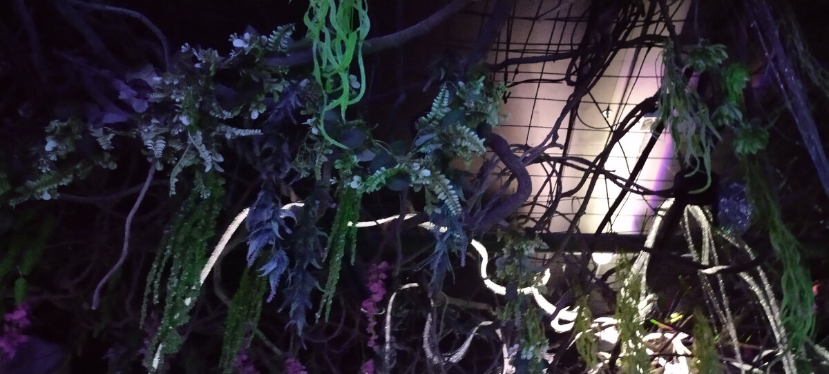 Фото автора канала