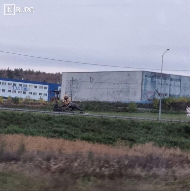    Льва с золотыми яйцами заметили на Челябинском тракте