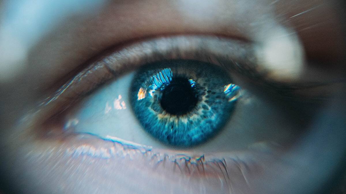    Фото: Unsplash