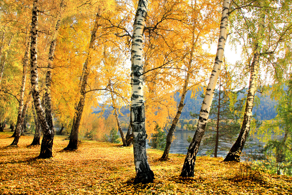 Фотография, стихотворение Василия Глуцкого