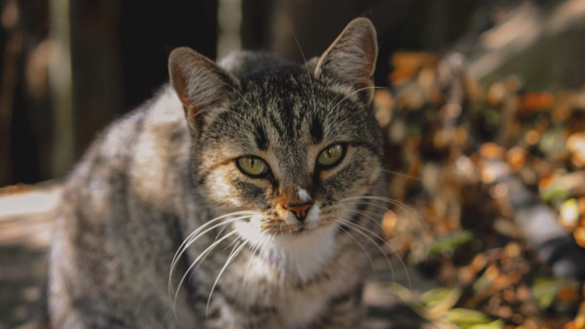    Фото: Unsplash Август Макаров