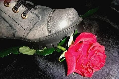 Картинка из открытого доступа