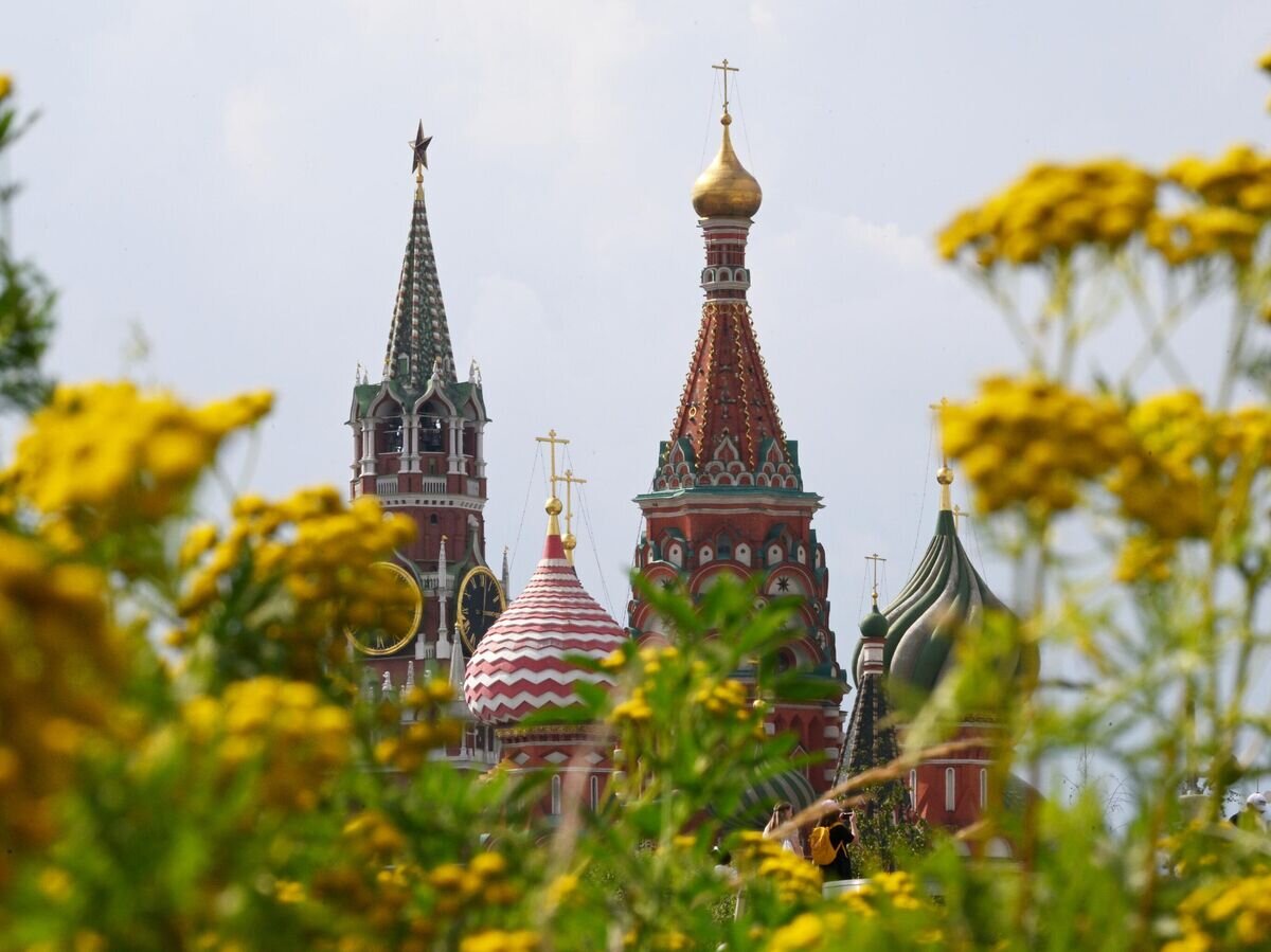    Вид из парка "Зарядье" на Спасскую башню Московского кремля © РИА Новости / Владимир Астапкович