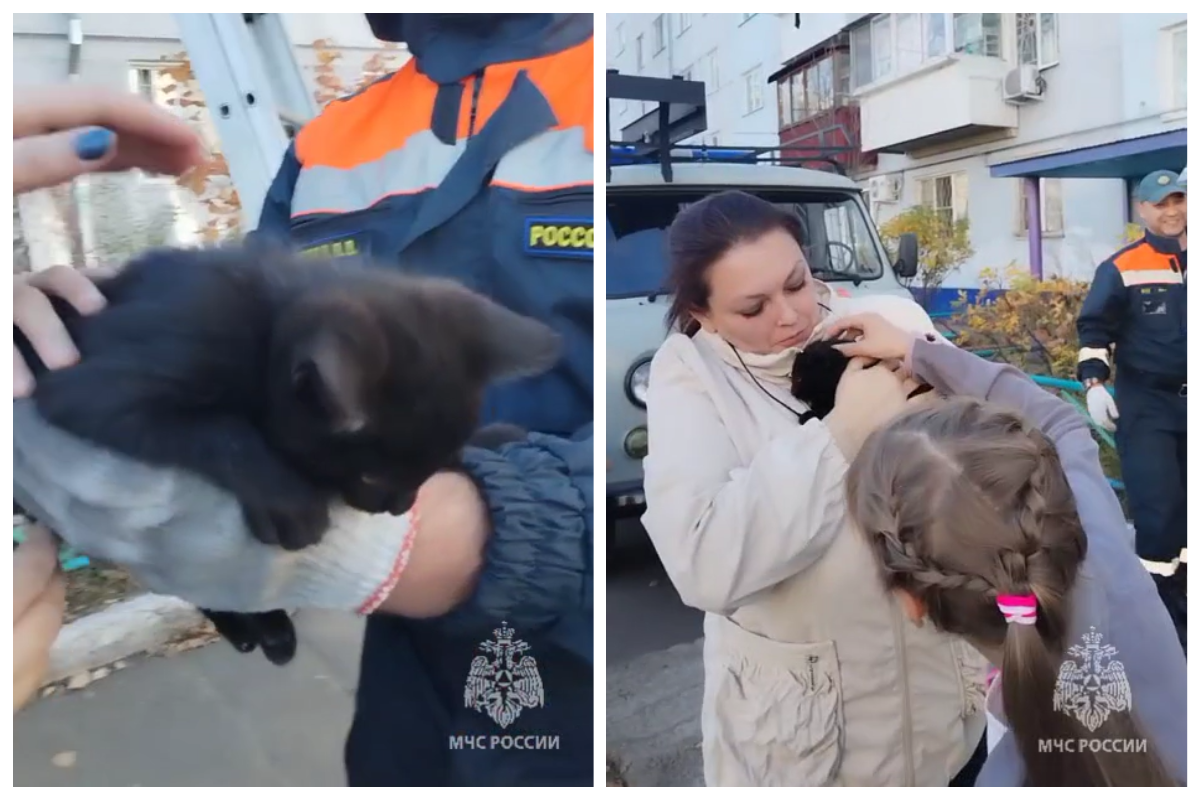    В ЕАО загнанный на дерево котёнок нашёл семью благодаря спасателям