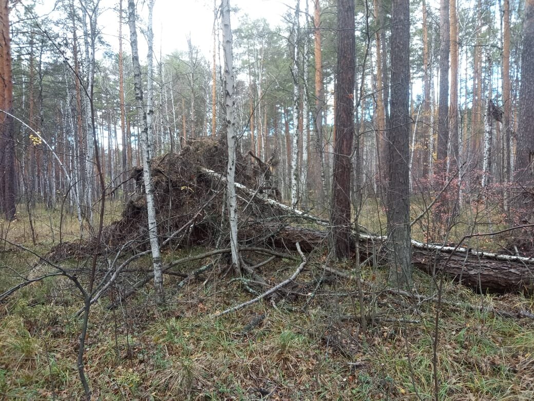 Красота в природе