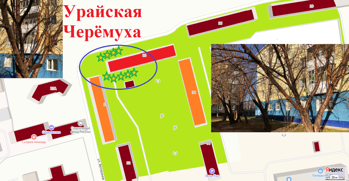 Фото и отметки на Яндекс карте Урая автора