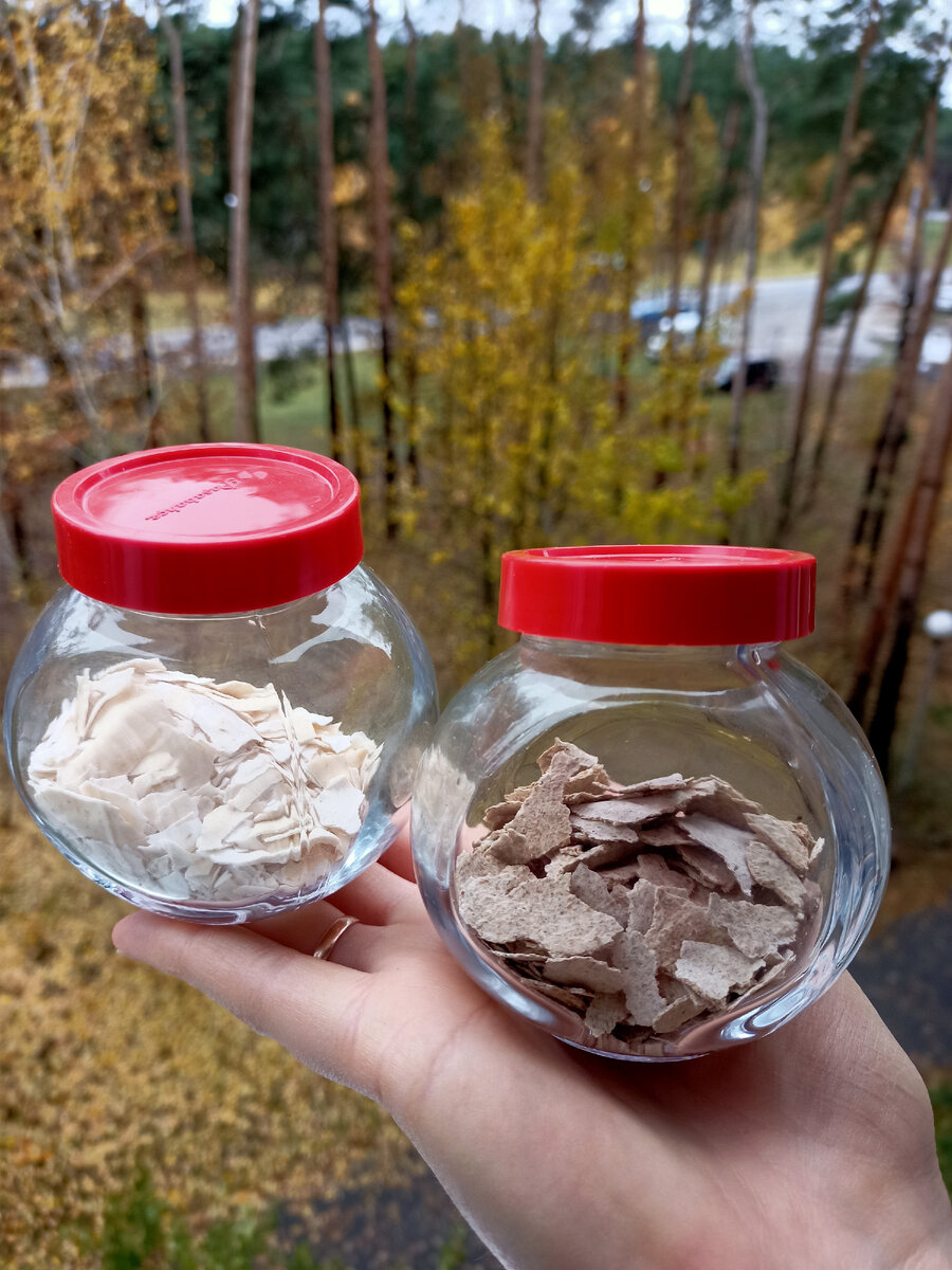 Сухая закваска