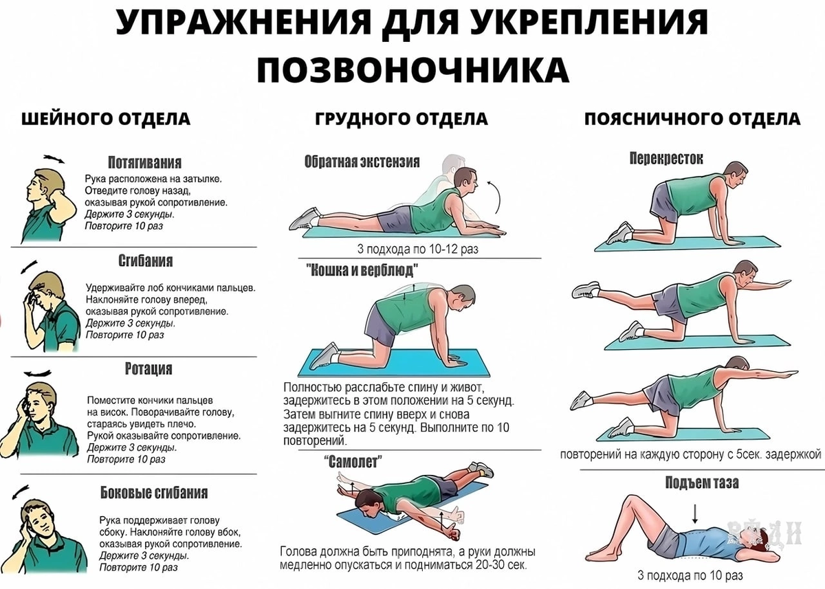 стул при грыже поясничного отдела позвоночника