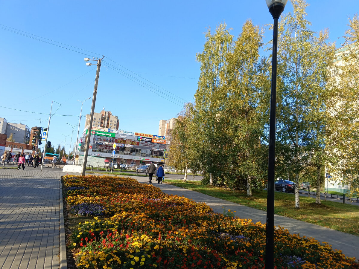 фото автора, осень в Петрозаводске