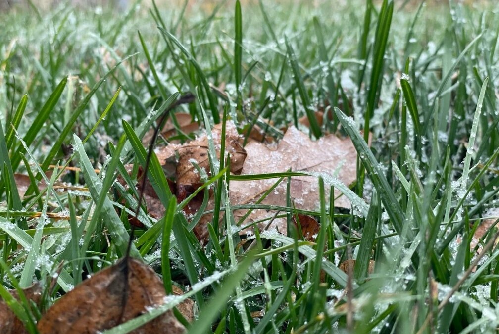 ИА SM-News Тюмень📷
