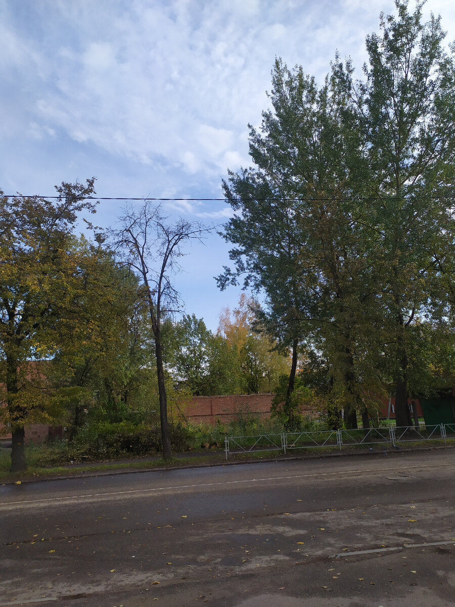 Радоваться солнцу и мирному небу