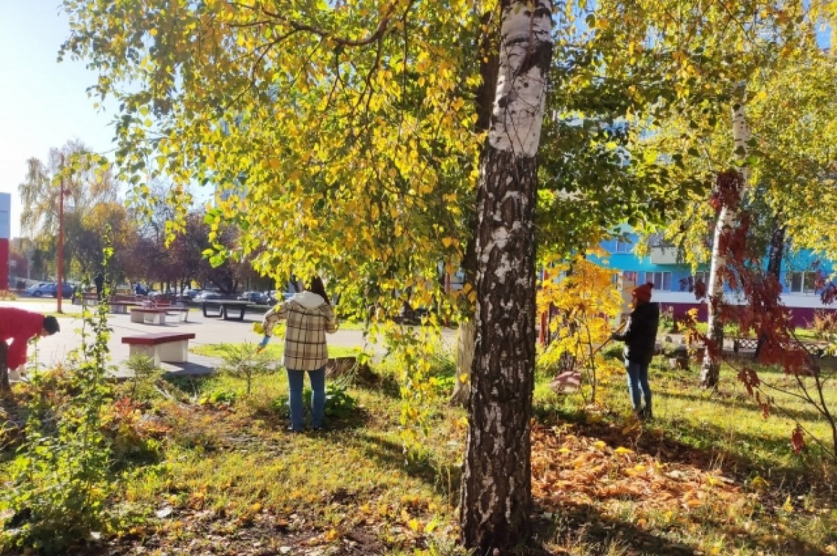    Общегородской субботник провели в Набережных Челнах