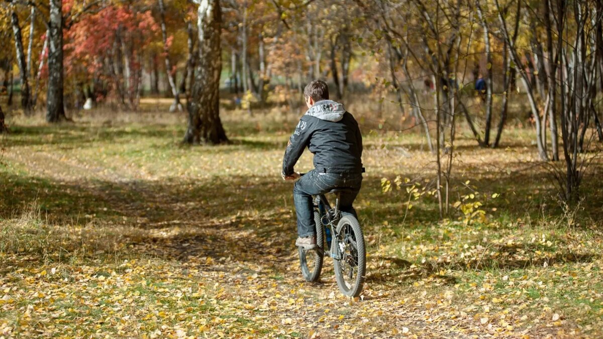     В Гидрометцентре России сообщили, что в поволжский федеральный округ, в том числе Татарстан, вернется бабье лето. Слова научного руководителя Гидрометцентра РФ Романа Вильфанда передает ТАСС.