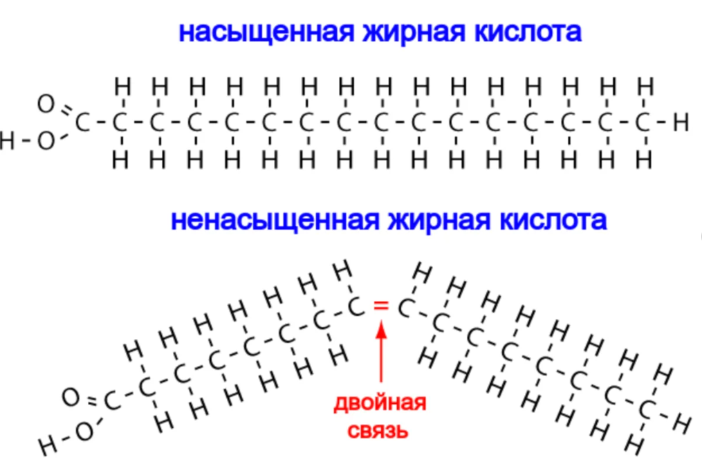 Схема жирных кислот. Формулы насыщенных и ненасыщенных жирных кислот. Ненасыщенные жирные кислоты формулы. Ненасыщенные жирные кислоты строение. Формулы насыщенных жирных кислот.
