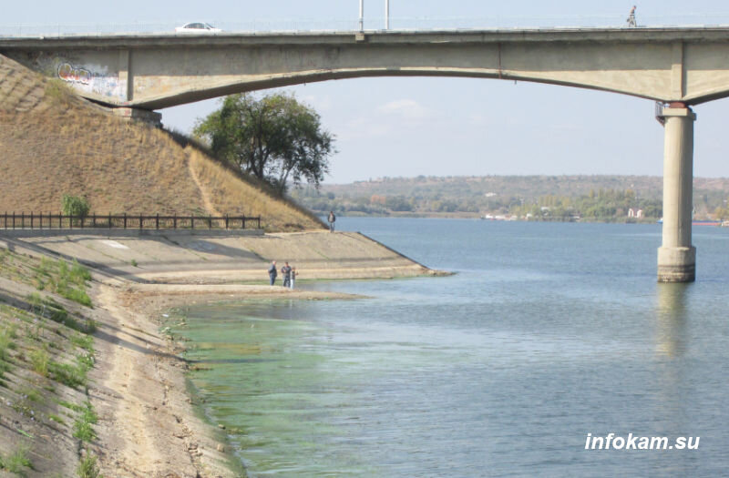    Обмелевшие берега реки Камышинки