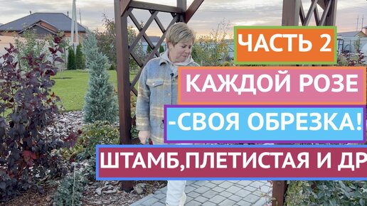 city-lawyers.ru :: В Новороссийске и Москве запутались, кого наказывать за показ порно на Садовом кольце