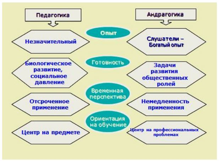 Андрагогика. Виды первоначальных доказательств. Виды доказательств обвинительные и оправдательные. Психологическая профилактика психологического здоровья детей. По источнику формирования доказательства подразделяются на.