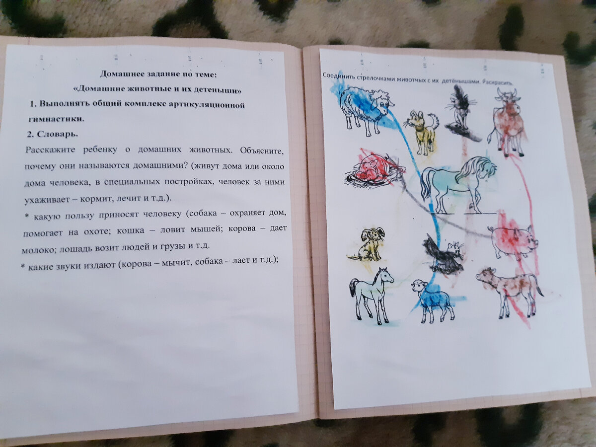 ПЕРВОЕ ДОМАШНЕЕ ЗАДАНИЕ.ЧТО ЗАДАЛИ МАЛЬЧИКАМ НА ДОМ В ДЕТСКОМ САДУ | Двое  за раз | Дзен