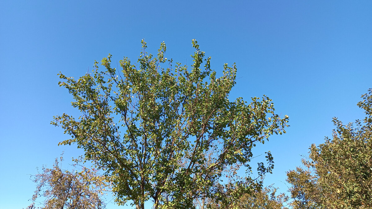 На небе ни облака. Фото автора 