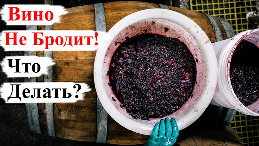 Вино НЕ БРОДИТ! Что ДЕЛАТЬ?