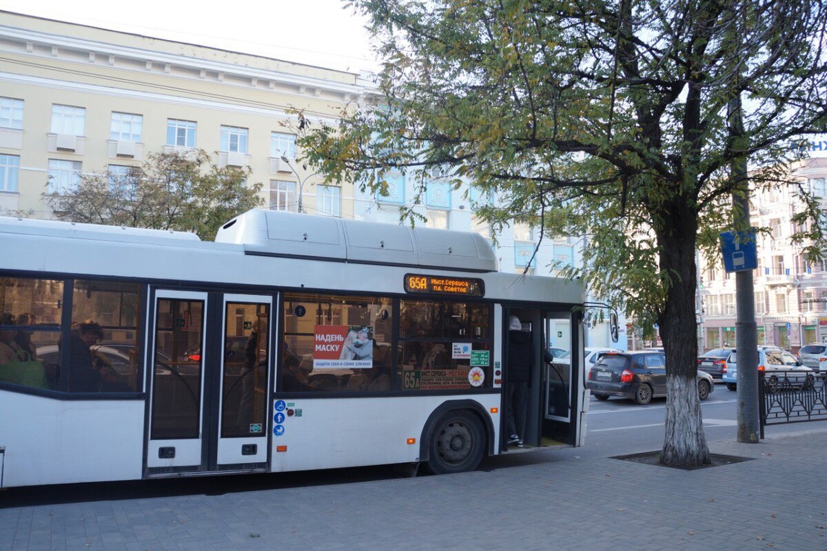 В Ростове водитель автобуса проколол шины авто в отместку за неправильную  парковку | Русский Фронтир | Дзен