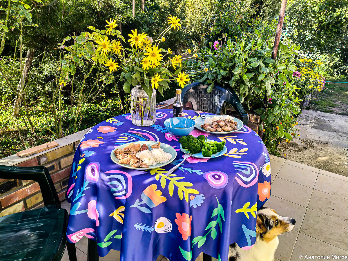 На столе букет из цветов топинамбура. По-осеннему красиво.