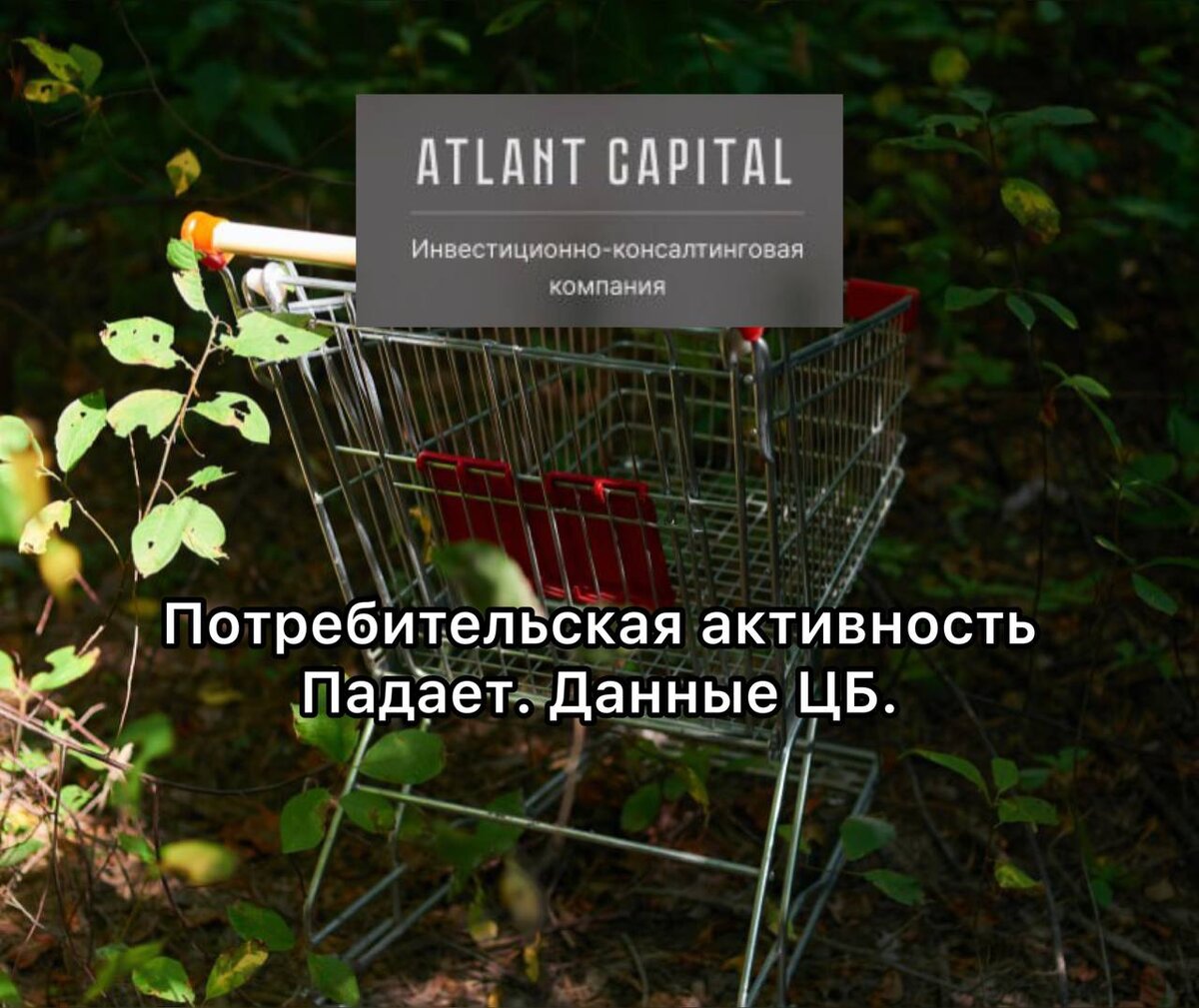 Рассматриваем статистику