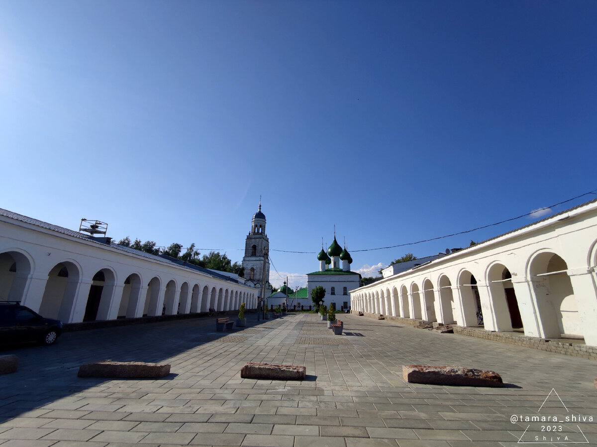 Секс знакомства в Пошехонье