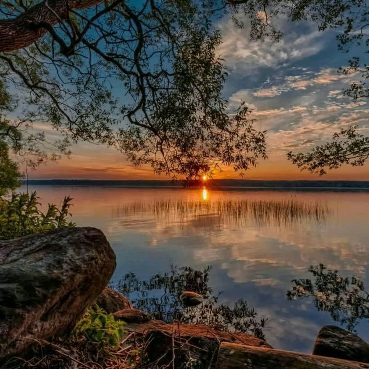 Картинка найдена на просторах интернета, ссылка: https://yandex.ru/images/search?from=tabbar&img_url=https%3A%2F%2Fpriroda.club%2Fuploads%2Fposts%2F2022-08%2F1659368134_3-priroda-club-p-romanticheskii-peizazh-priroda-krasivo-fot-3.jpg&lr=103814&p=2&pos=22&rpt=simage&text=%D0%BA%D1%80%D0%B0%D1%81%D0%B8%D0%B2%D1%8B%D0%B5%20%D0%B2%D0%B8%D0%B4%D1%8B%20%D0%BF%D1%80%D0%B8%D1%80%D0%BE%D0%B4%D1%8B%20%D0%BB%D1%8E%D0%B1%D0%BE%D0%B2%D1%8C%20%D1%84%D0%BE%D1%82%D0%BE