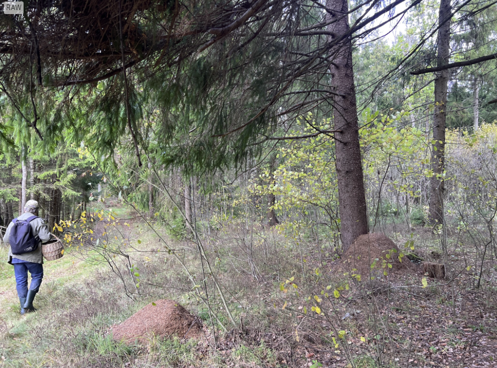 Фото автора .14.10.2023