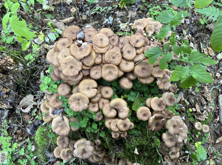 Фото автора .14.10.2023