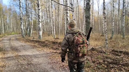 Глухари, тетерева, рябчики и утки сегодня нас обхитрили