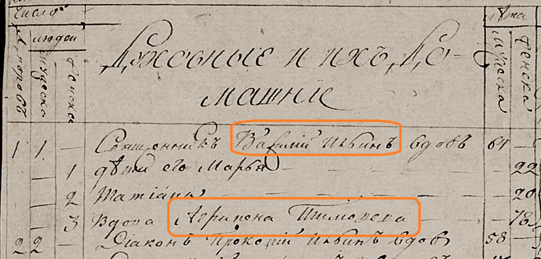 1814 год. Священник Василий Ильич и его мать Агриппина Тимофеевна.