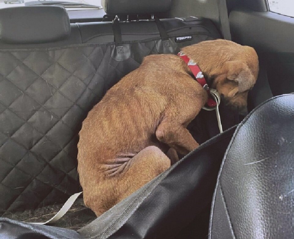 Клементина не ждала ничего хорошего уже ни от кого