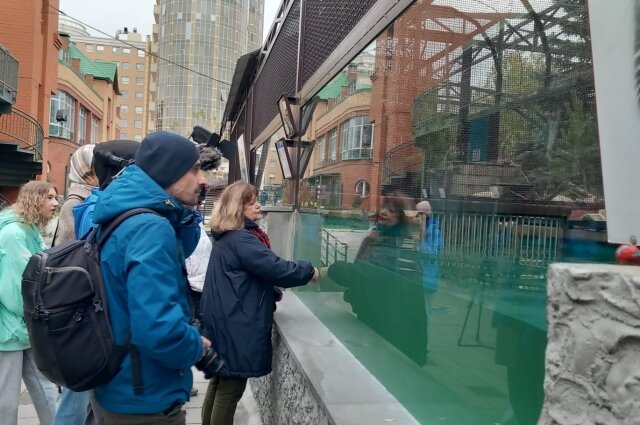    Фото: Екатеринбургский зоопарк