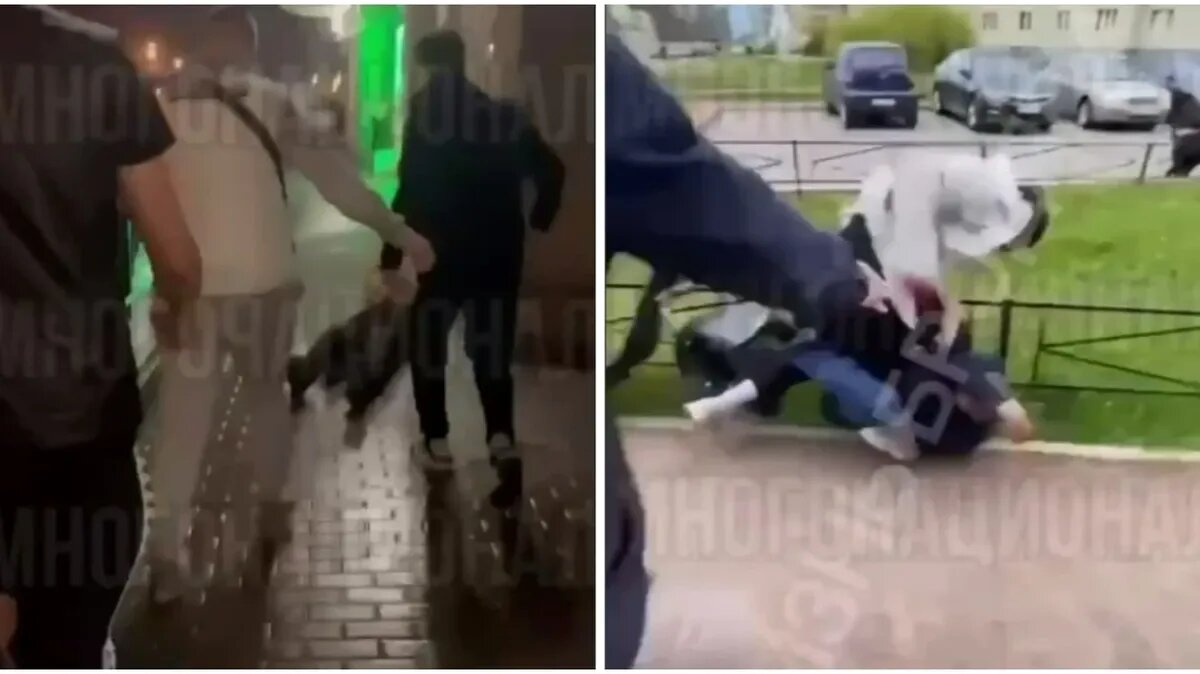 Фото: кадры из видео