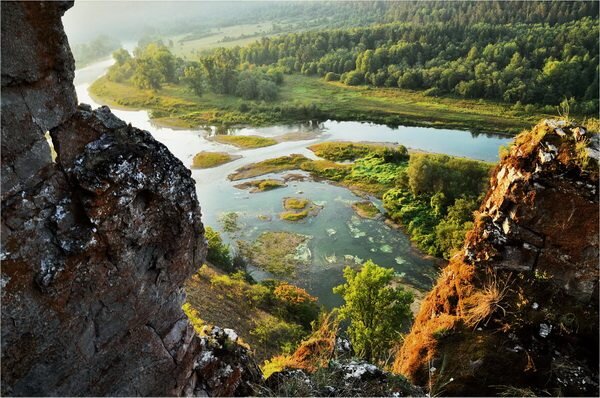 Юрюзань Лимоновский гребень